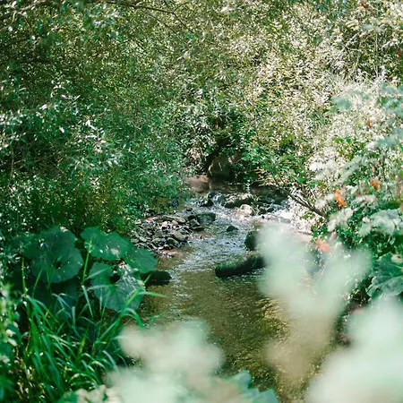 Ardennes Getaway For 4 Holiday home Malmedy