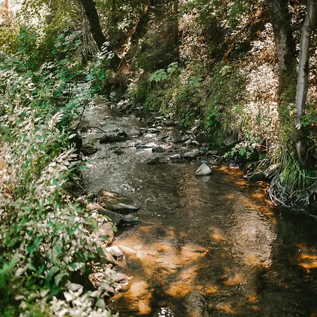 Ardennes Getaway For 4 * Malmedy