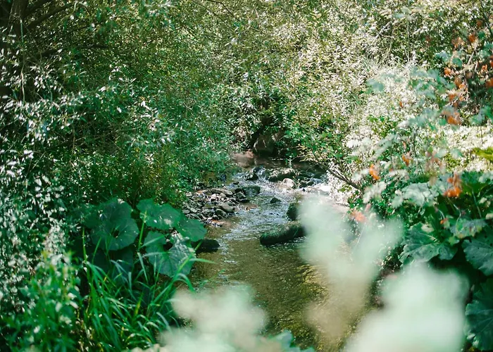 Ardennes Getaway For 4 Holiday home Malmedy