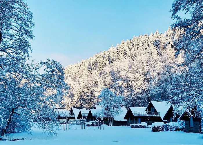 Ardennes Getaway For 4 Malmedy